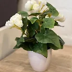 Koenigshof 公寓