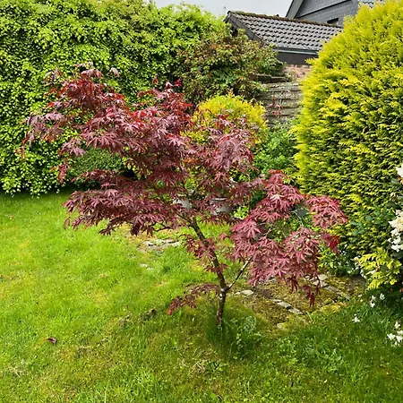 Koenigshof Appartamento